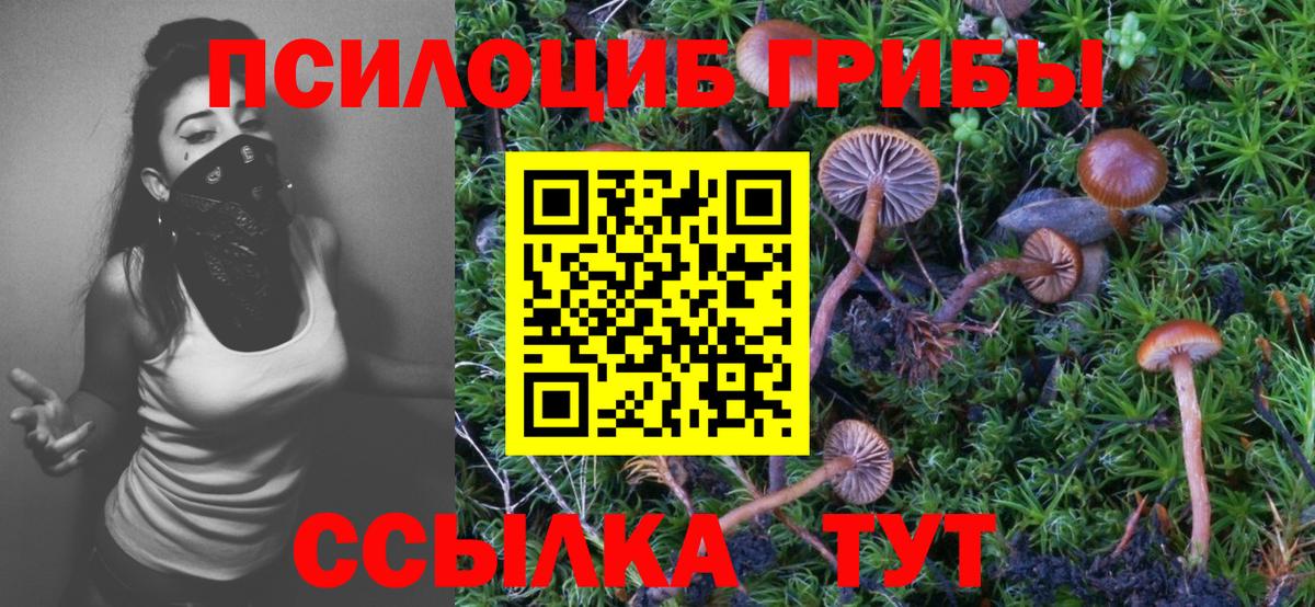 Псилоцибиновые грибы Psilocybine cubensis  Вход с VPN  наркота  Тулун 